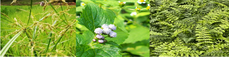 1749105277203165.png image.png